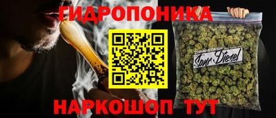 гашик Заводоуковск