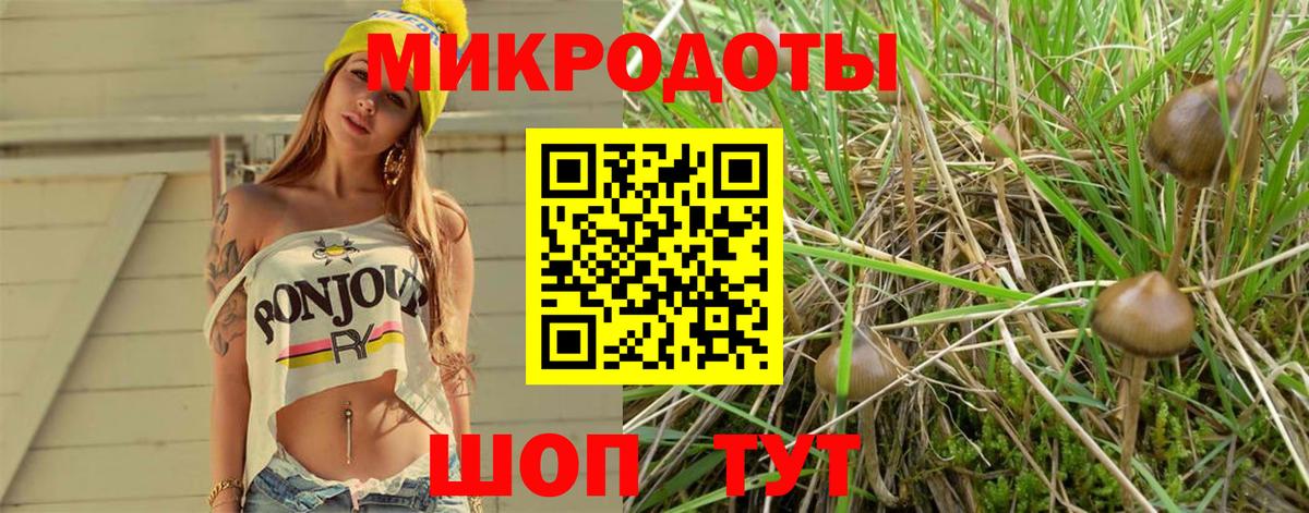 Лысьва  Галлюциногенные грибы GOLDEN TEACHER  Вход с VPN  сколько стоит  Галлюциногенные грибы Cubensis 